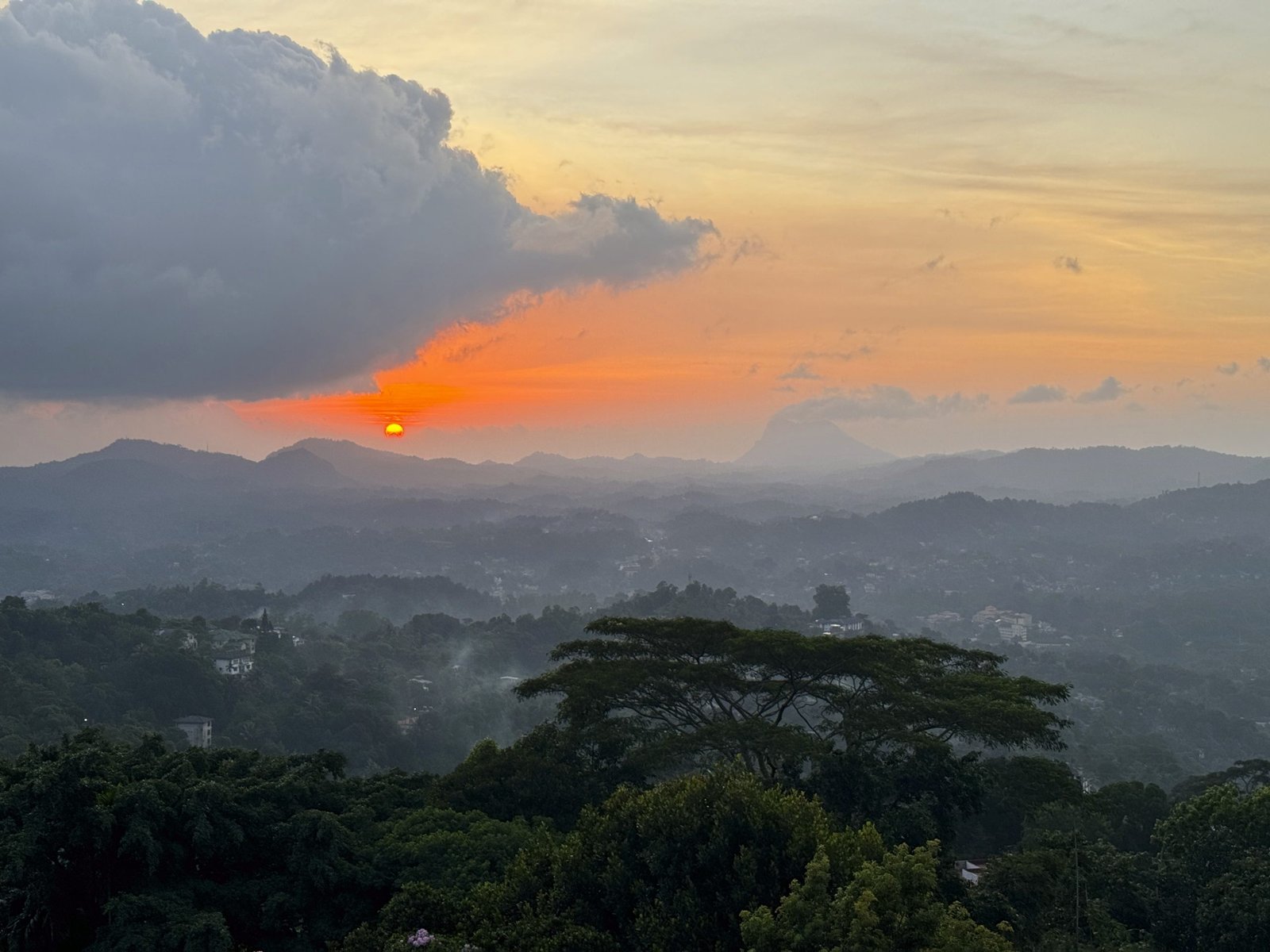 10 Best Museums in Kandy for a Fascinating Day Out