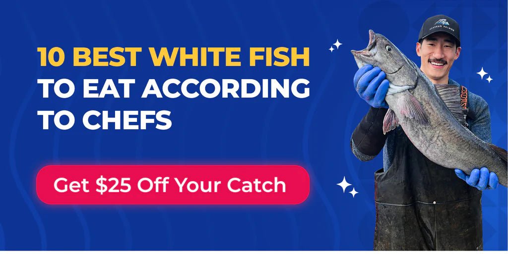 10 Best Seafood Spots in Colombo for Fresh Catch