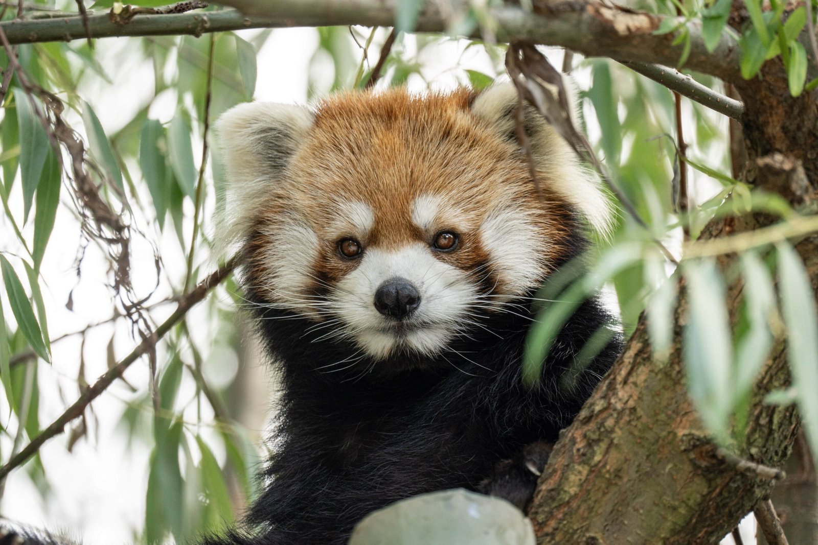 4-Day Colombo Itinerary for Families With Kids