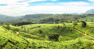 Discover Sri Lanka’S Best Trekking Spots for Stunning Views