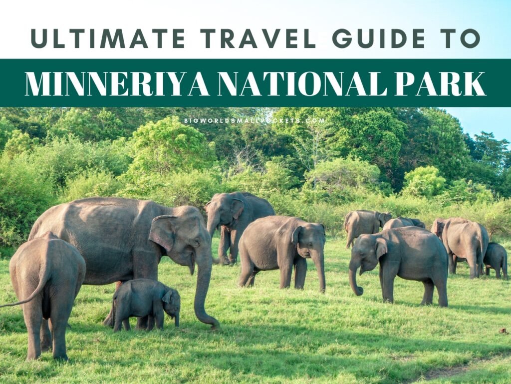 The Ultimate Guide to Sri Lanka’S Top Wildlife Sanctuaries And National Parks