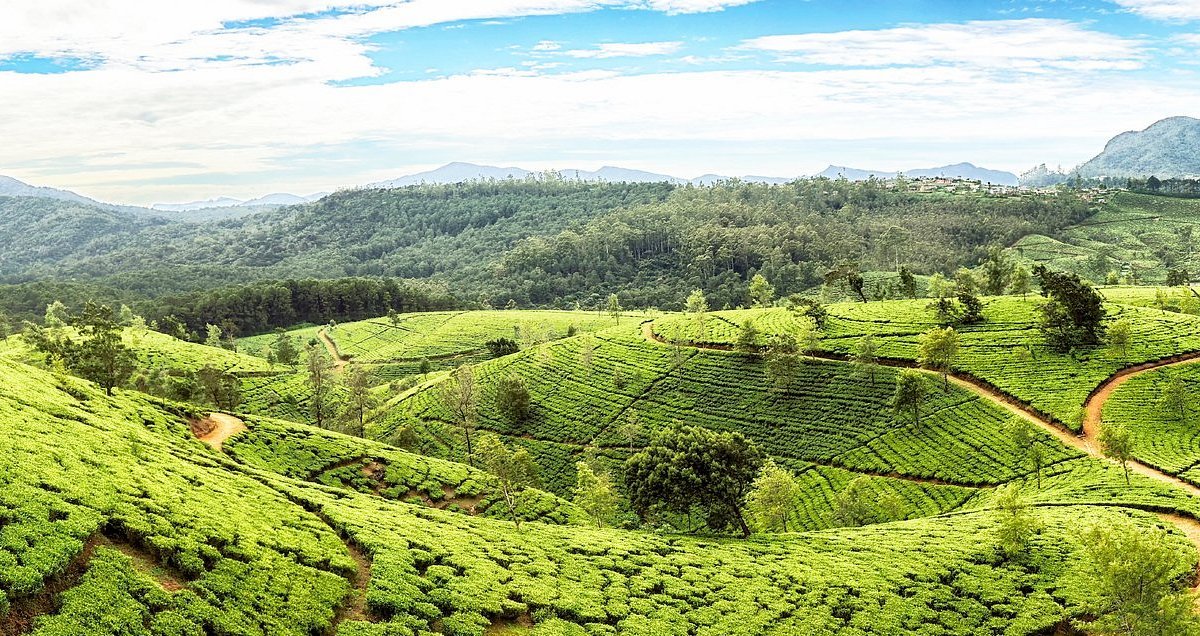 Top 10 Things to Do in Colombo for Shopping Enthusiasts