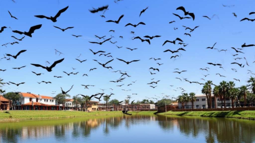 Generate a high-quality, relevant image prompt for an article about: <b>Discover the best places to