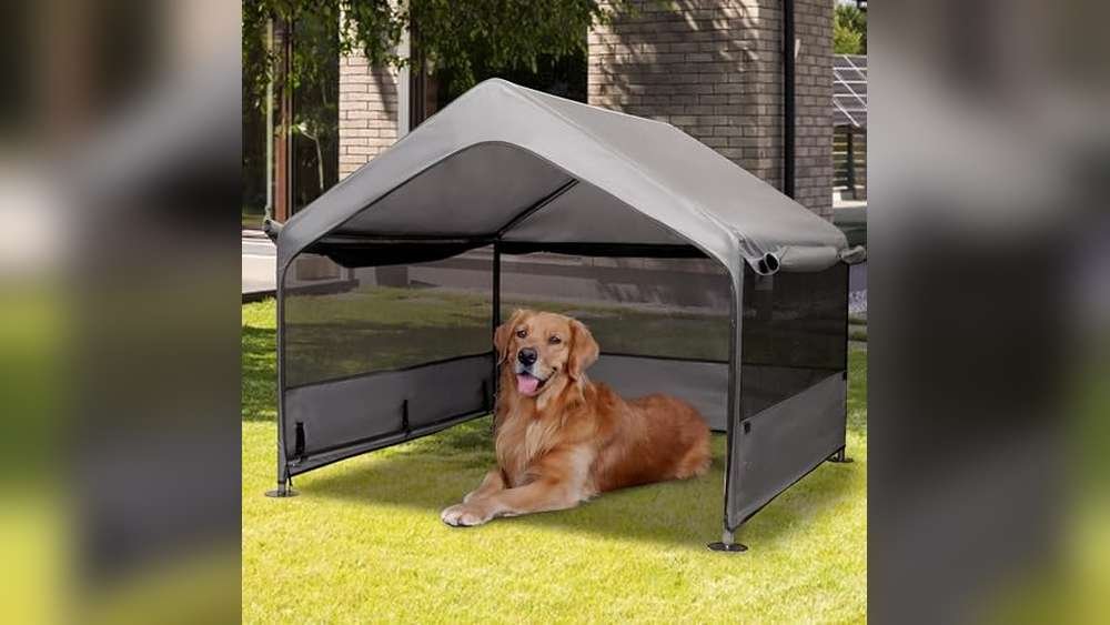 Best Tent for Dog Owners Uk