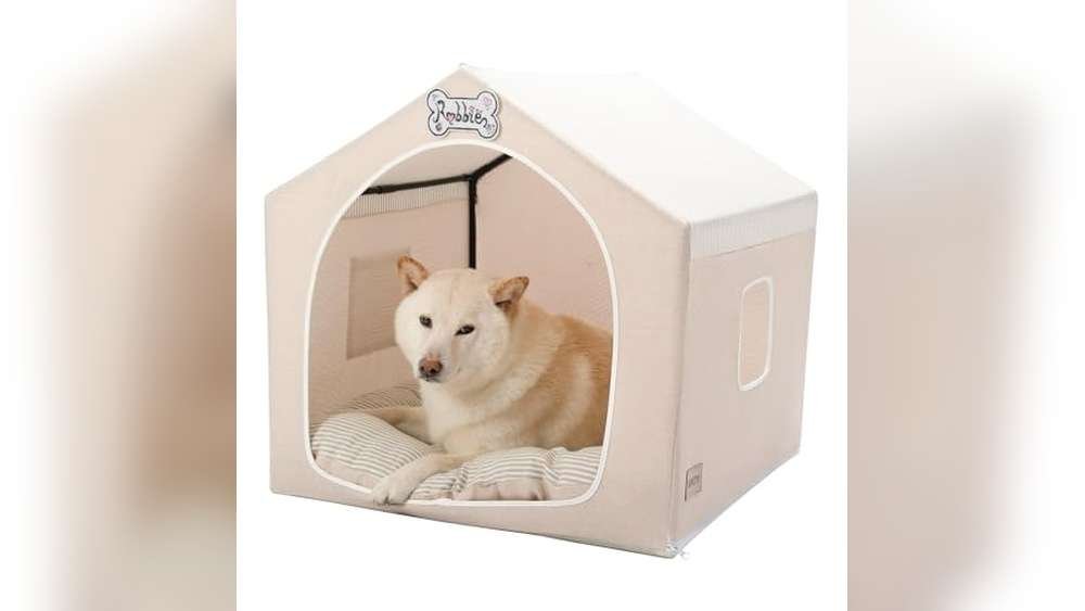 Best Tent for Dog Owners