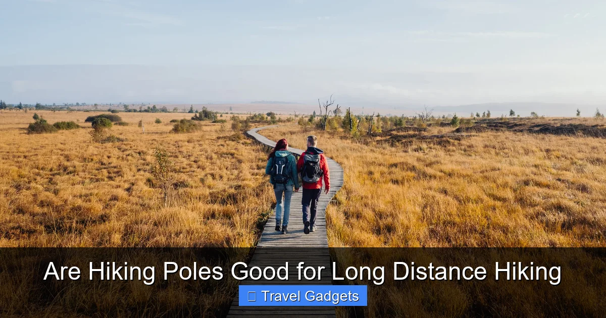 Are Hiking Poles Good for Long Distance Hiking
