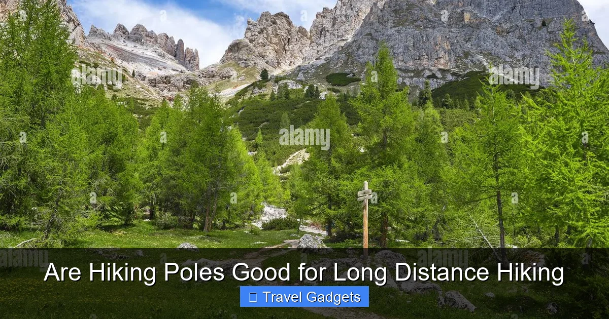 Are Hiking Poles Good for Long Distance Hiking