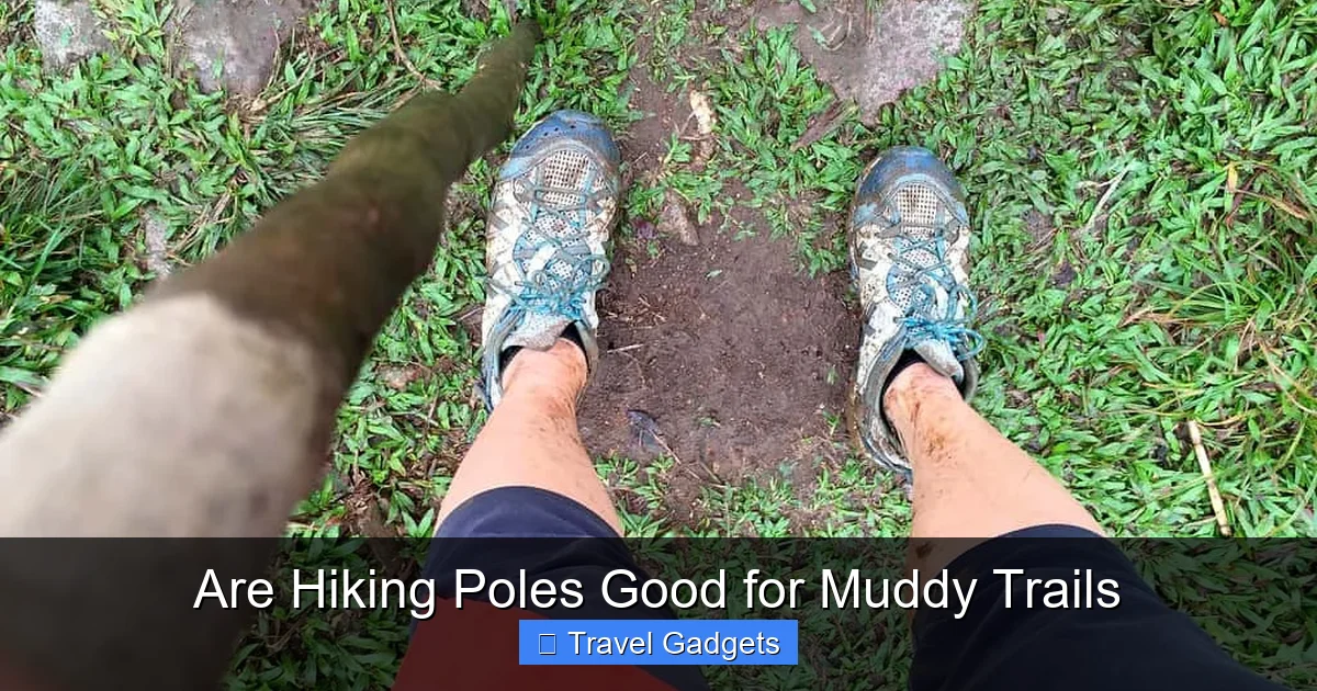 Are Hiking Poles Good for Muddy Trails