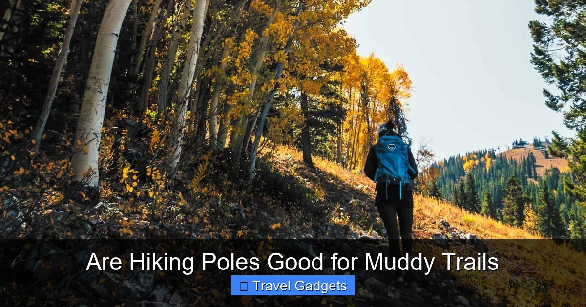 Are Hiking Poles Good for Muddy Trails