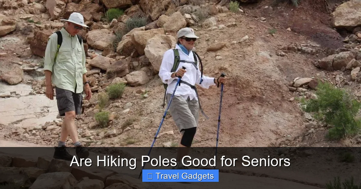 Are Hiking Poles Good for Seniors