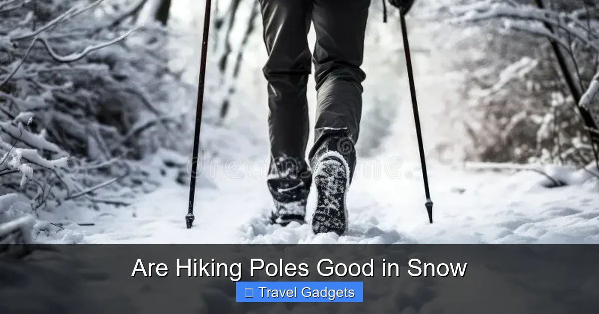 Are Hiking Poles Good in Snow