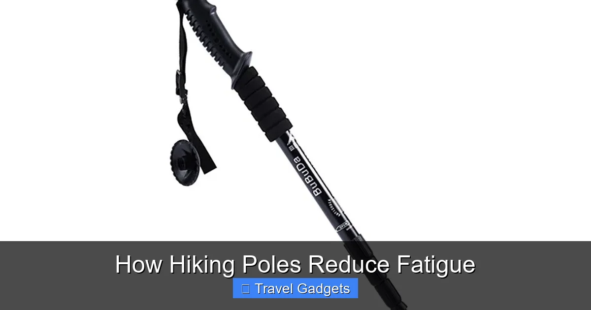 How Hiking Poles Reduce Fatigue