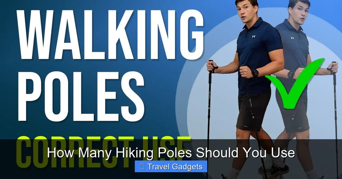 How Many Hiking Poles Should You Use