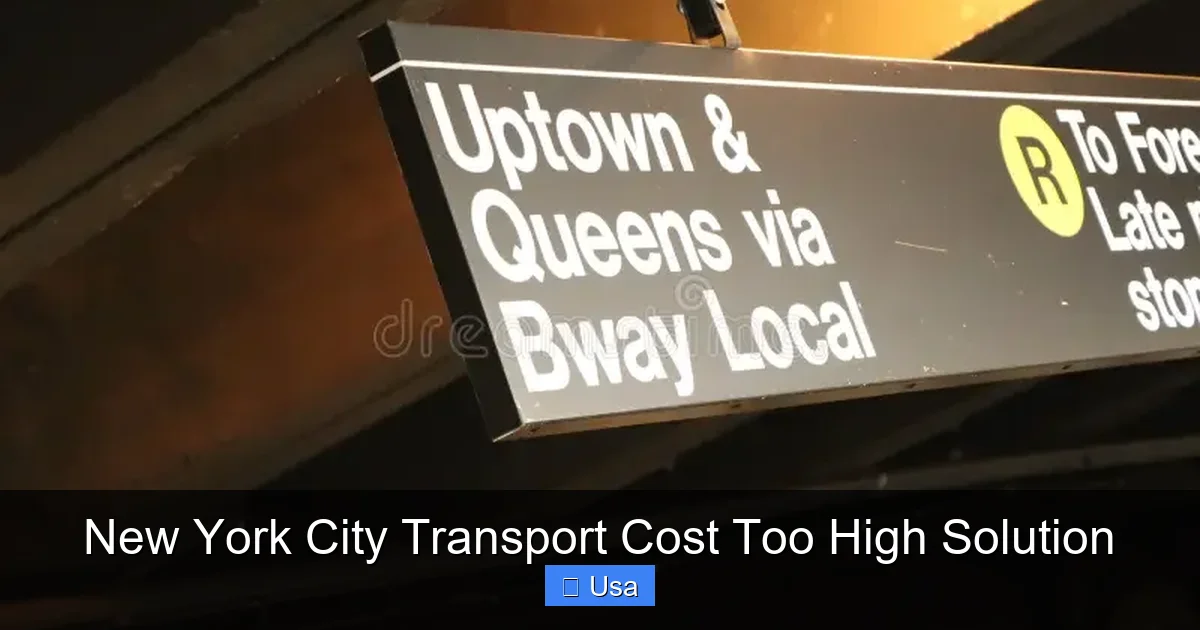 New York City Transport Cost Too High Solution