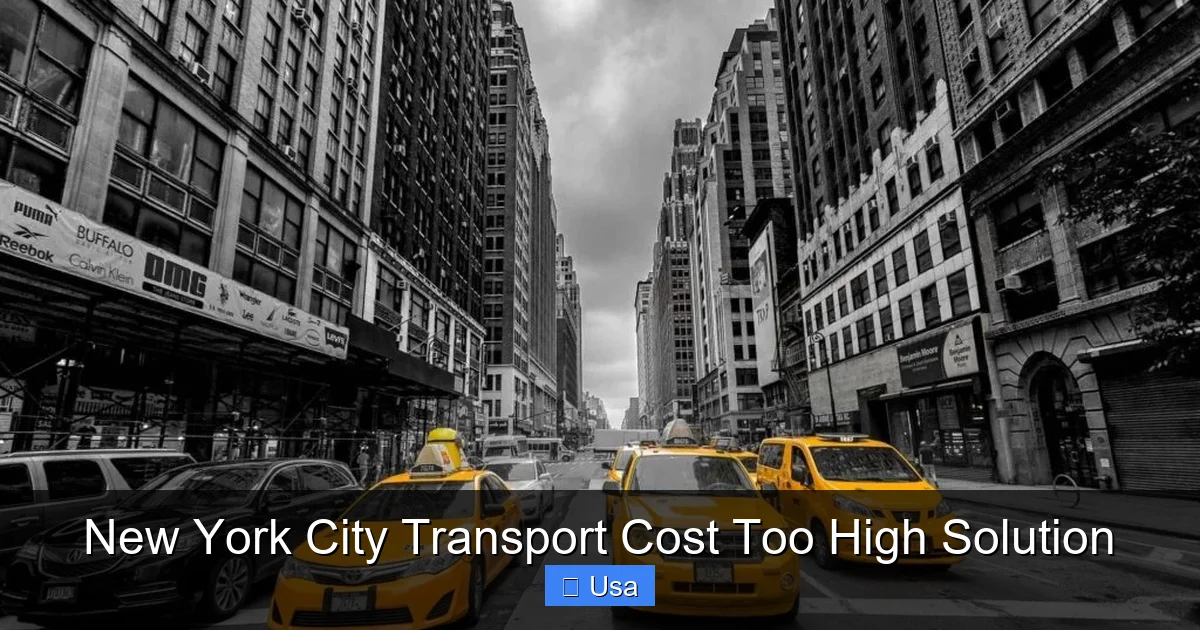 New York City Transport Cost Too High Solution