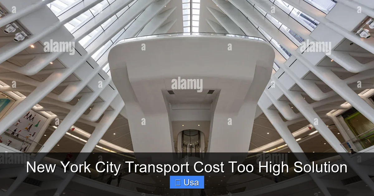 New York City Transport Cost Too High Solution