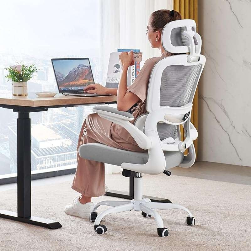 TRALT Ergonomic Mesh Office Chair, High Back Desk Chair for Long Hours