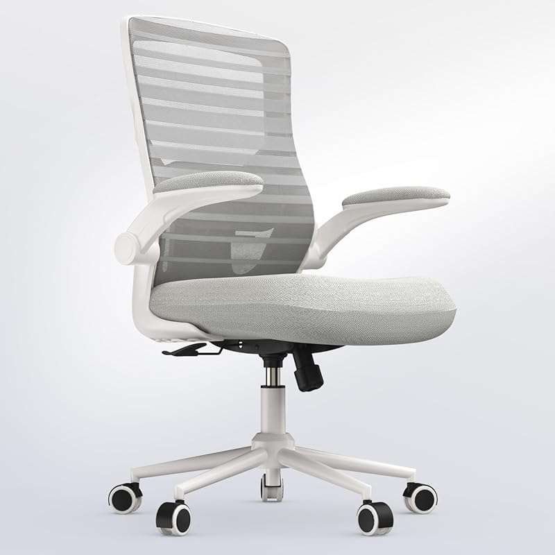 Ergonomic Office Chair for Long Hours, with Padded Lumbar Support and 