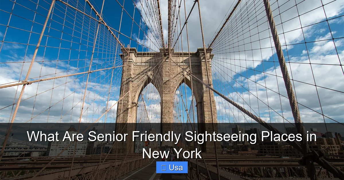 What Are Senior Friendly Sightseeing Places in New York