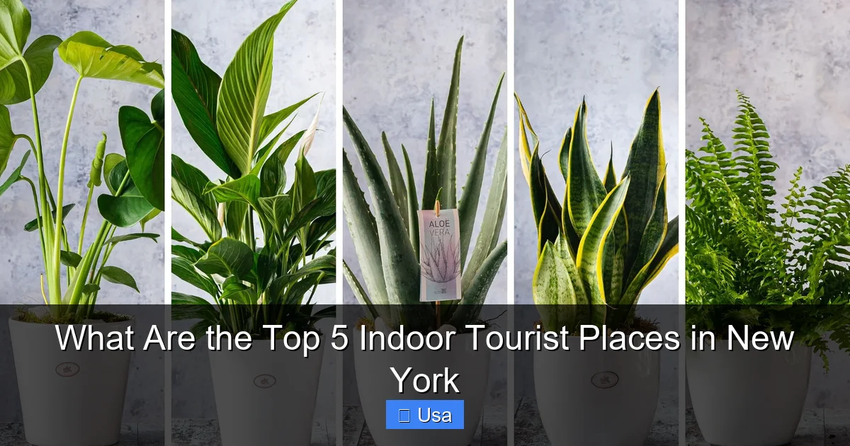 What Are the Top 5 Indoor Tourist Places in New York