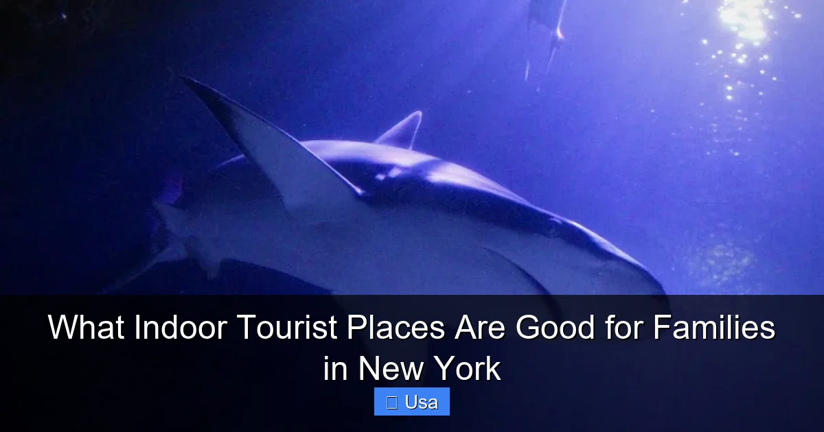 What Indoor Tourist Places Are Good for Families in New York