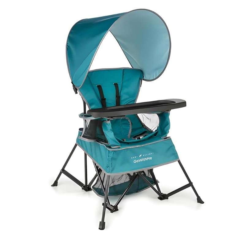 Baby Delight Go with Me Venture Portable Chair: Indoor/Outdoor with Su