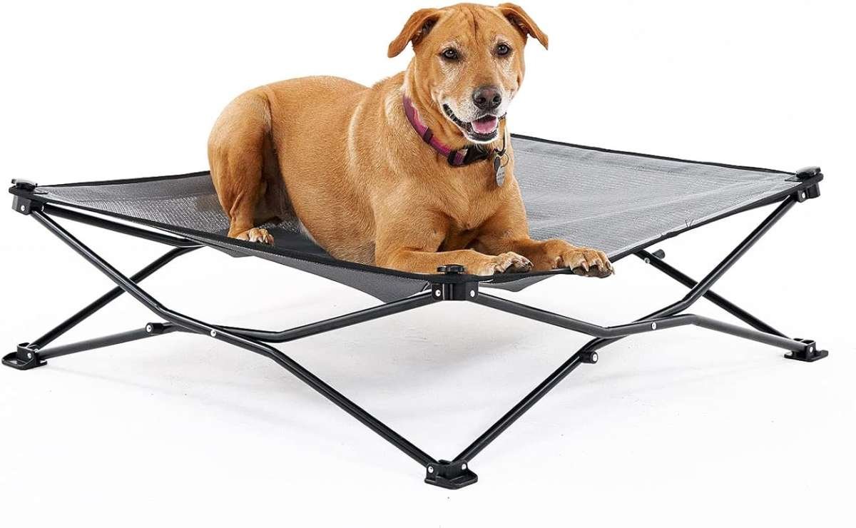Coolaroo On-The-Go Foldable Pop-Up Elevated Dog Bed with Breathable, M
