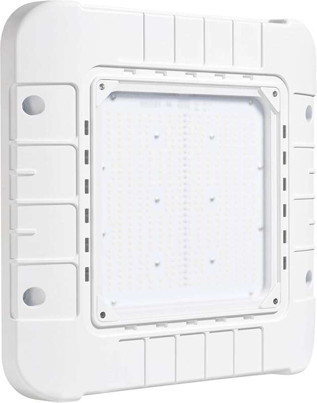 Parmida Wattage Selectable LED Canopy Light: ETL, Dimmable, IP65 Water