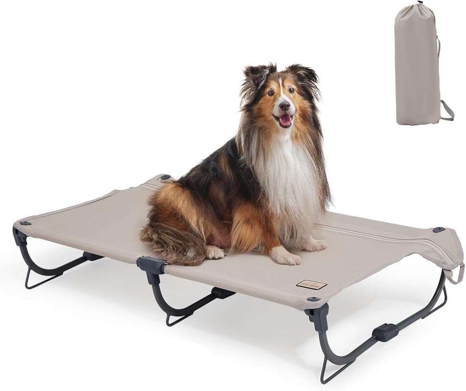 Daisy Cot Medium Foldable Elevated Dog Bed, Portable Outdoor Cooling P