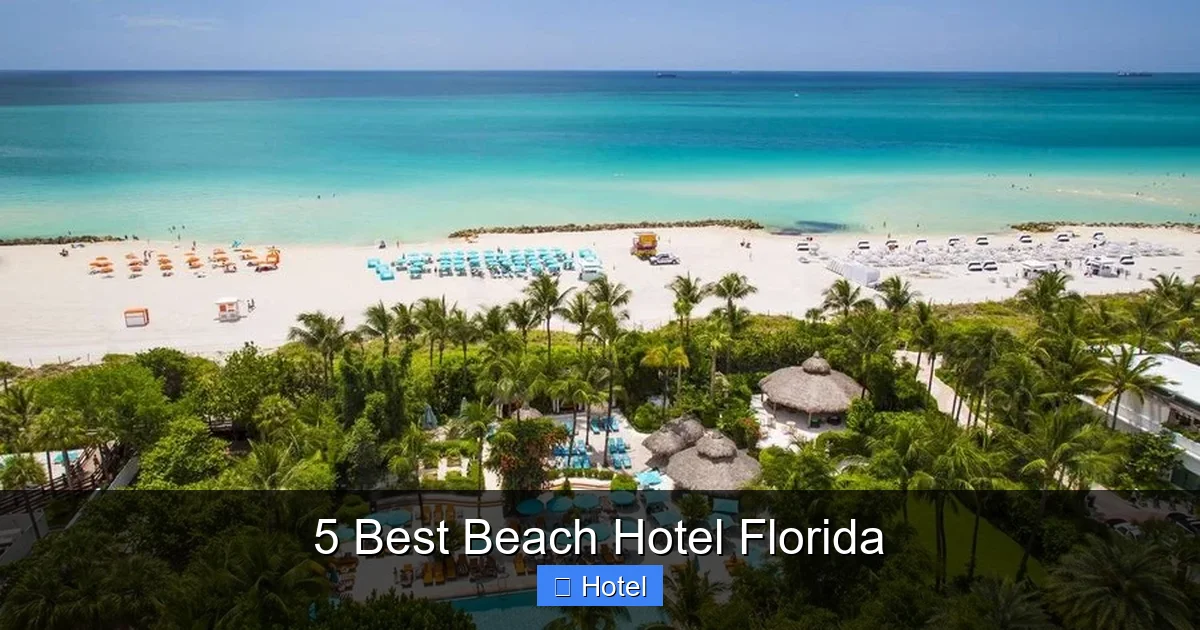 5 Best Beach Hotel Florida