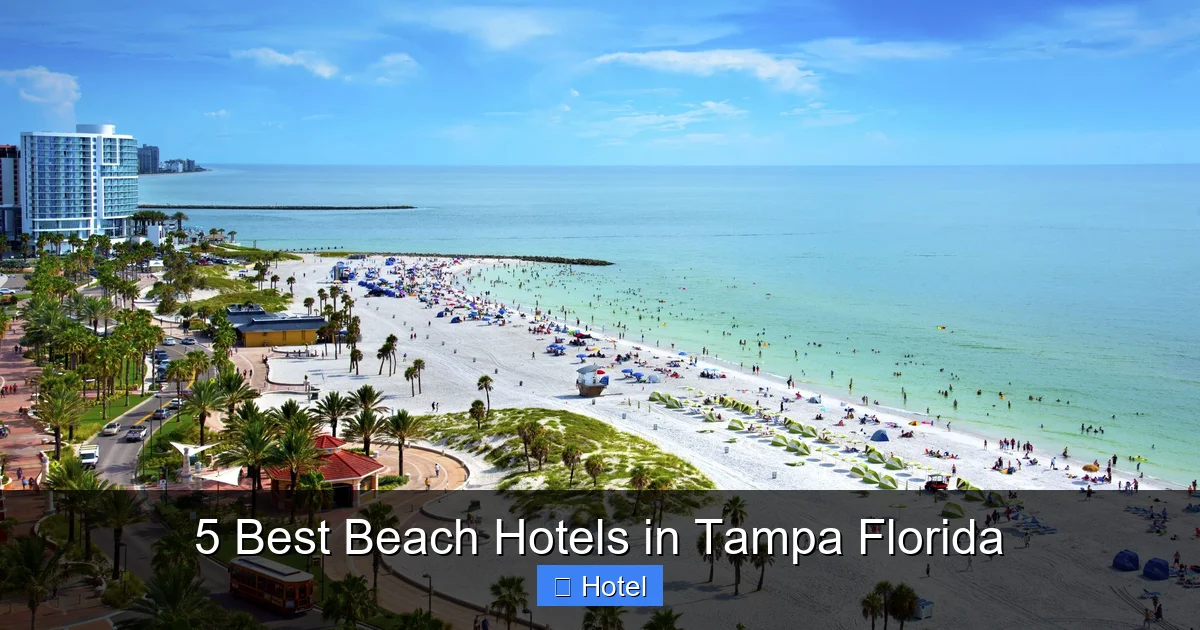 5 Best Beach Hotels in Tampa Florida