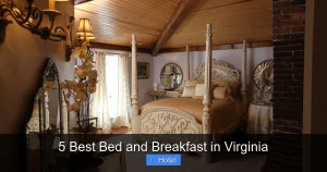 5 Best Bed and Breakfast in Virginia