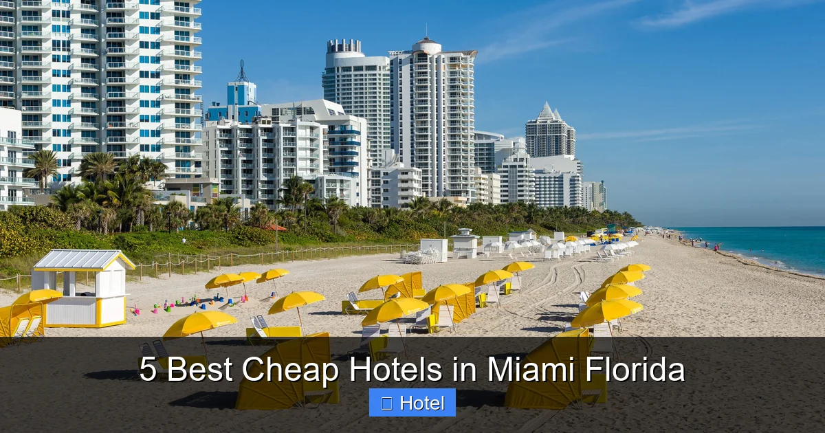 5 Best Cheap Hotels in Miami Florida