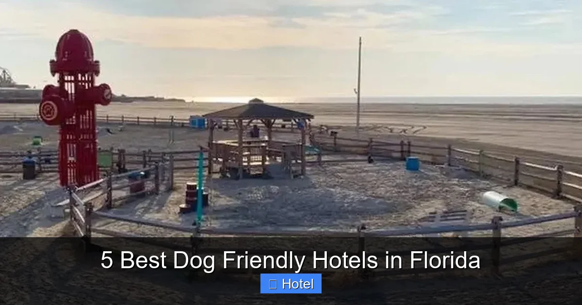 5 Best Dog Friendly Hotels in Florida