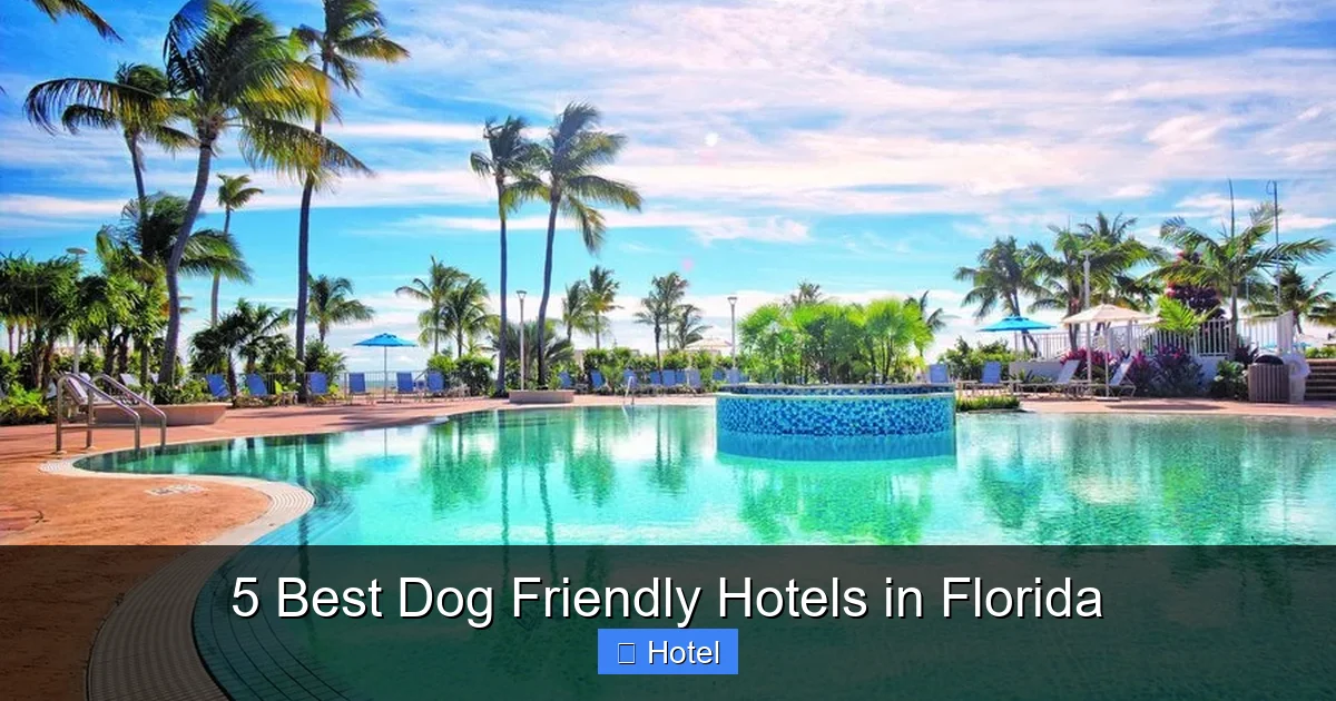 5 Best Dog Friendly Hotels in Florida