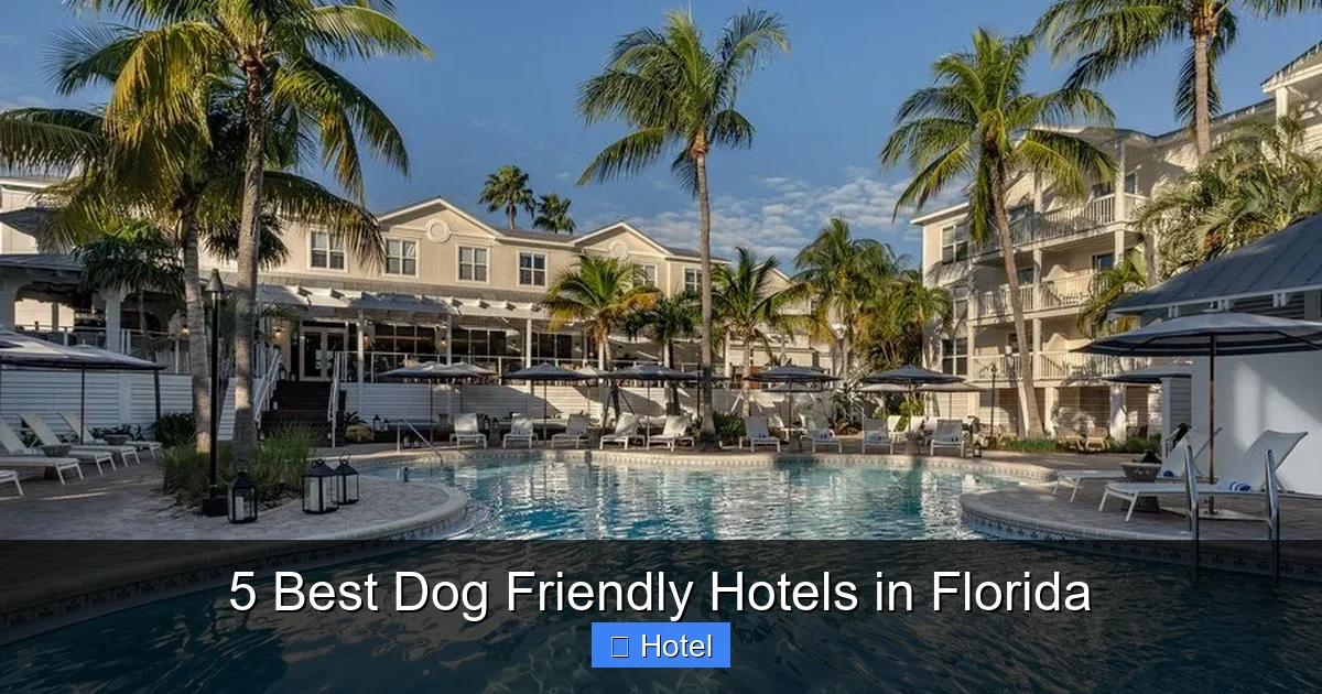 5 Best Dog Friendly Hotels in Florida