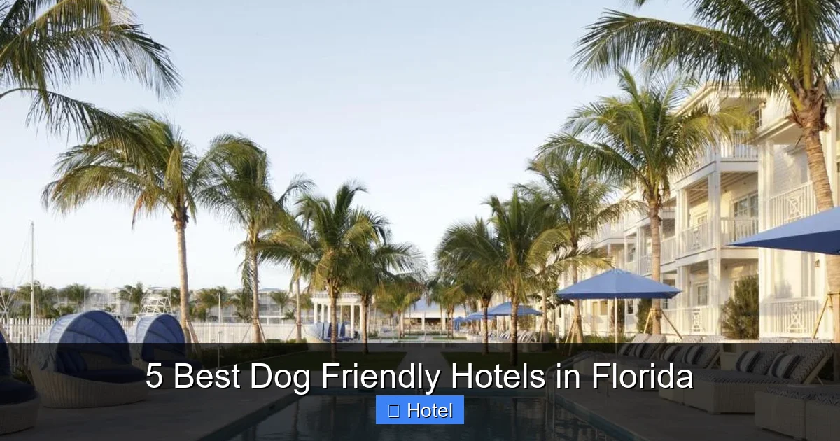 5 Best Dog Friendly Hotels in Florida