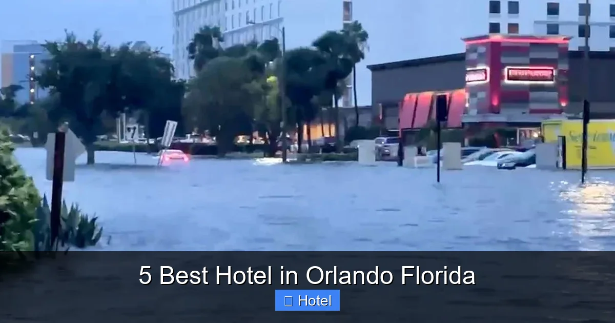 5 Best Hotel in Orlando Florida