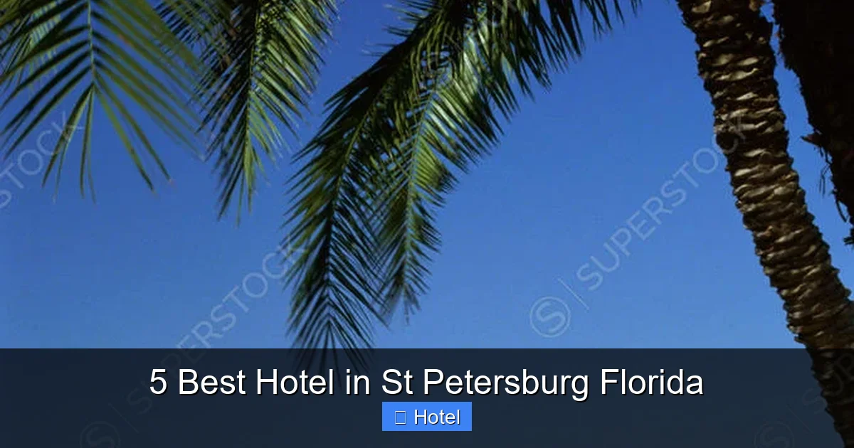 5 Best Hotel in St Petersburg Florida