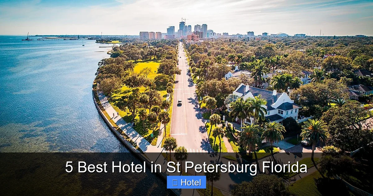 5 Best Hotel in St Petersburg Florida