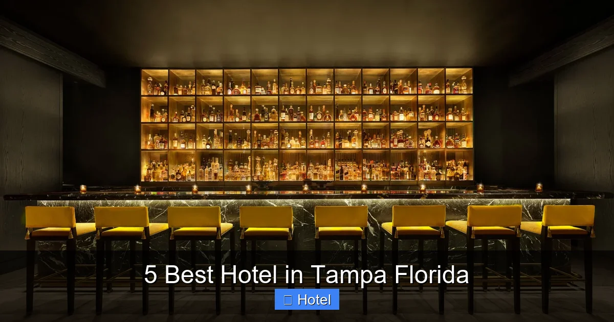 5 Best Hotel in Tampa Florida