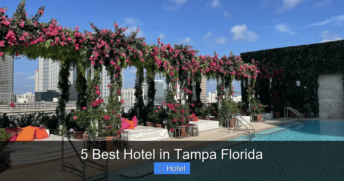 5 Best Hotel in Tampa Florida