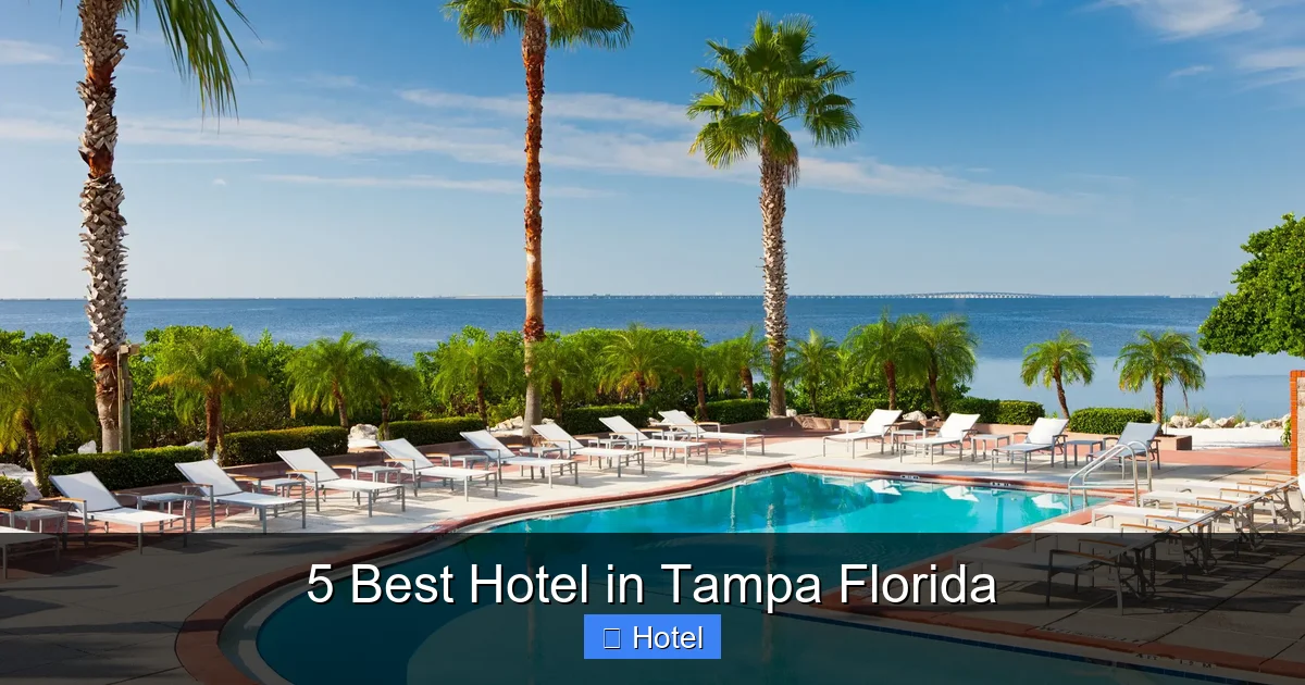 5 Best Hotel in Tampa Florida