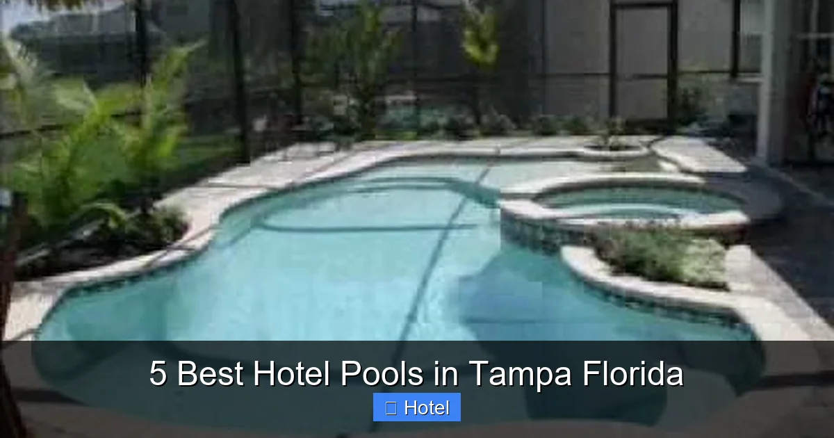 5 Best Hotel Pools in Tampa Florida