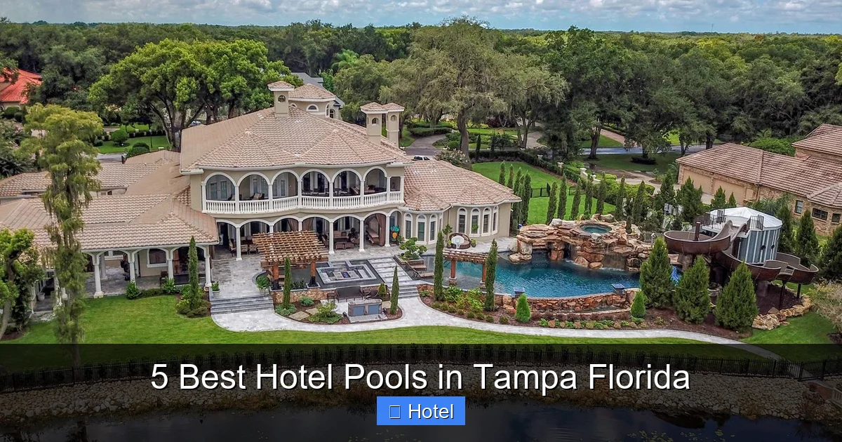 5 Best Hotel Pools in Tampa Florida