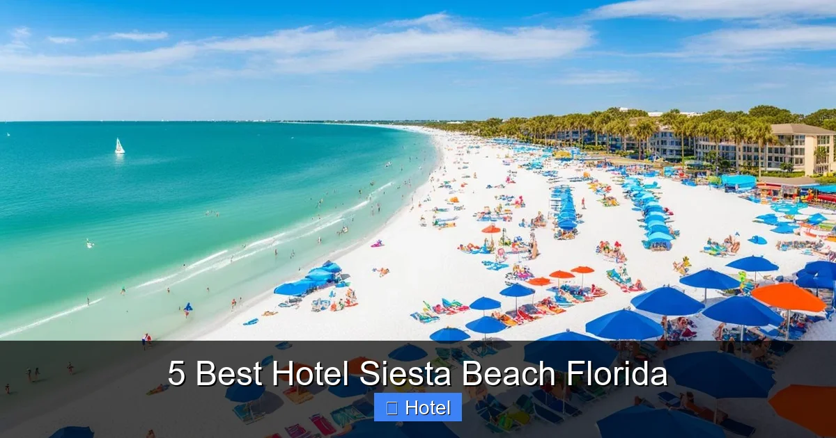 5 Best Hotel Siesta Beach Florida