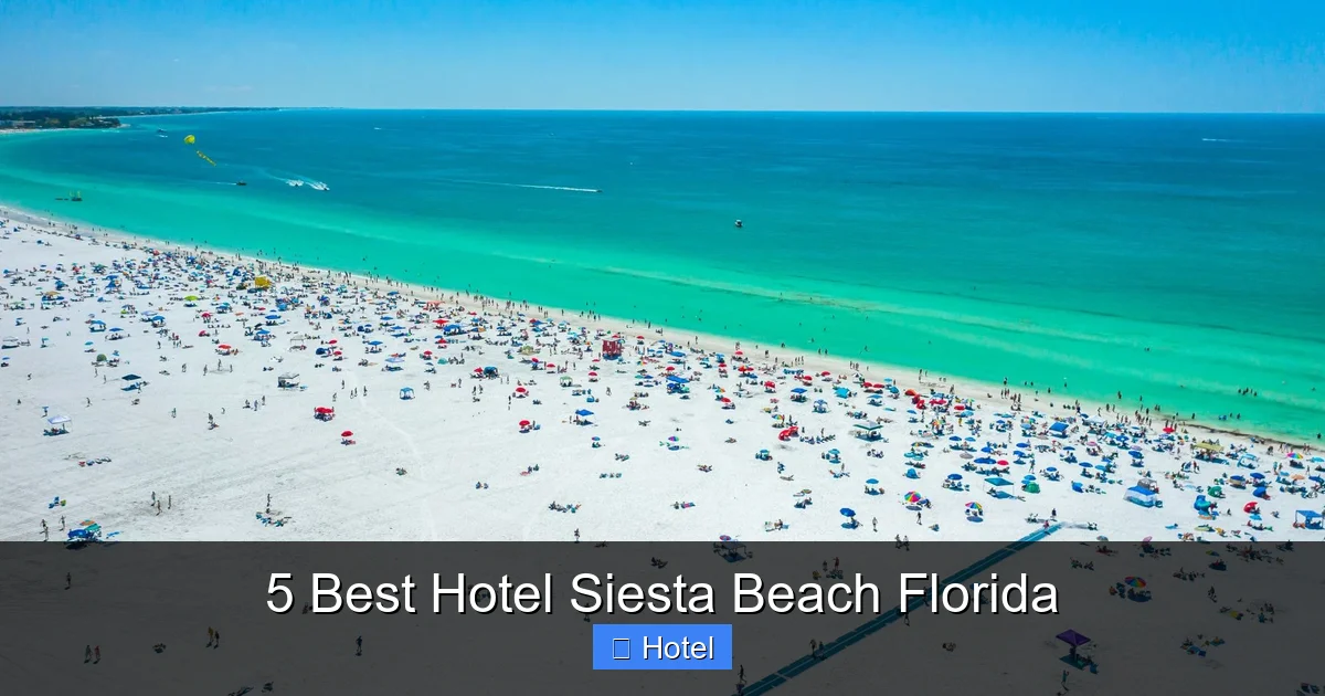 5 Best Hotel Siesta Beach Florida