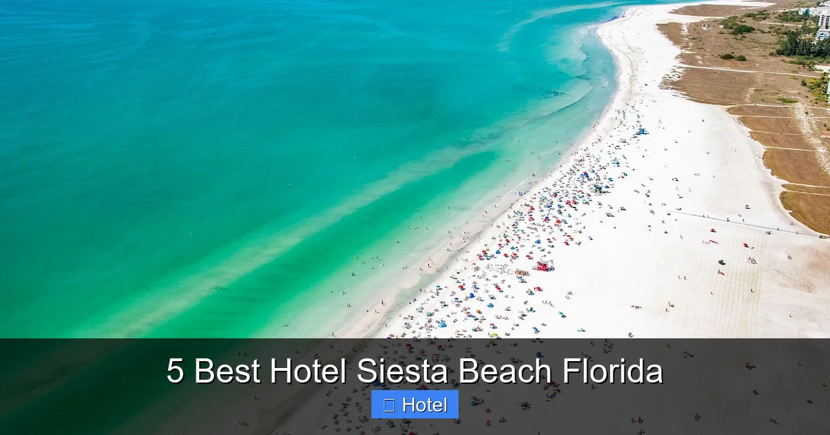 5 Best Hotel Siesta Beach Florida