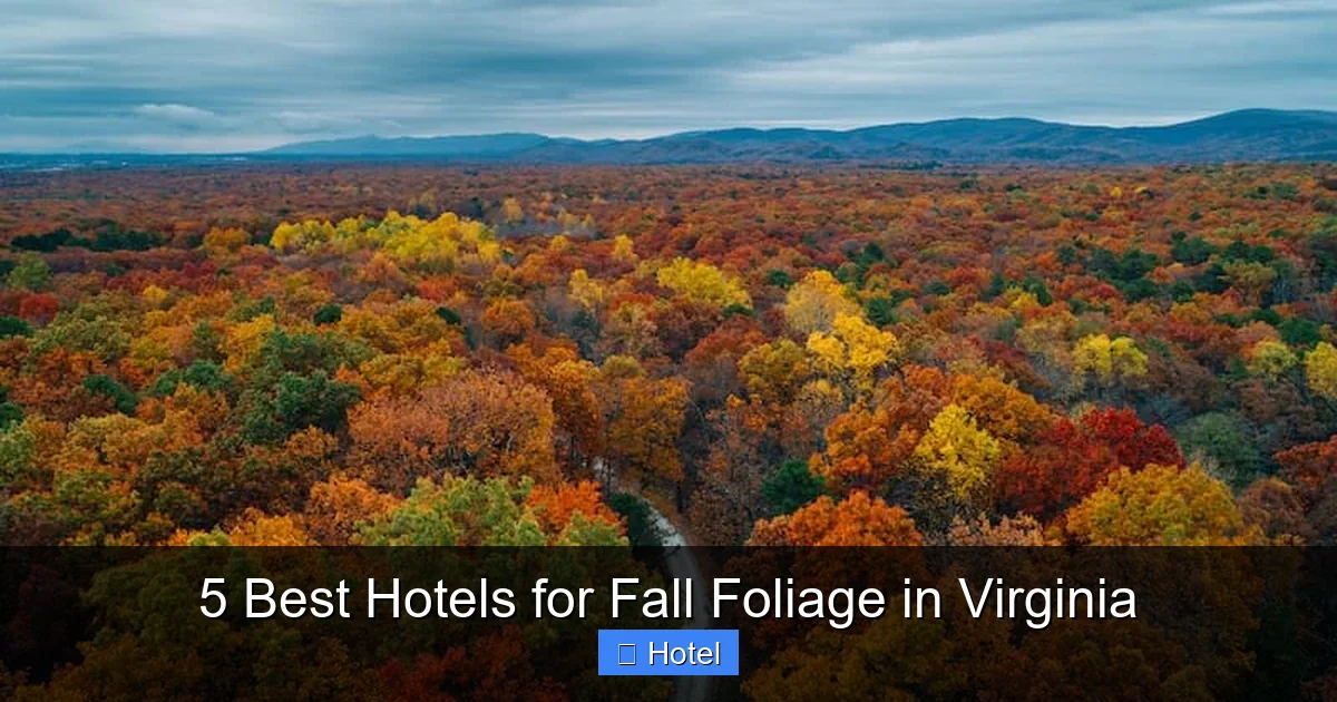5 Best Hotels for Fall Foliage in Virginia