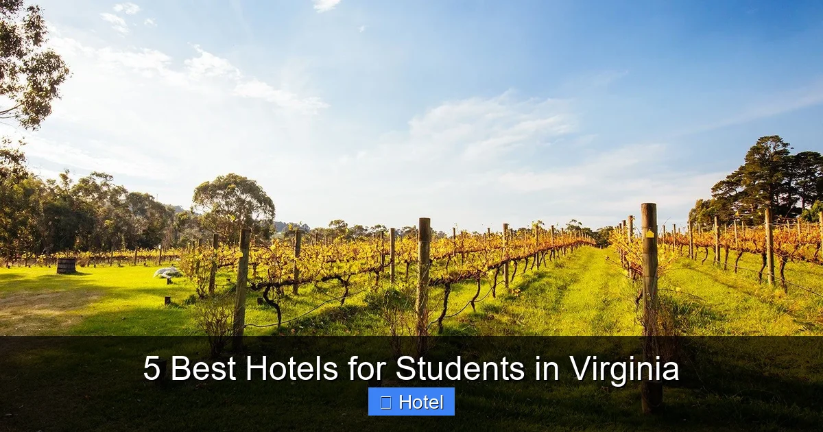 5 Best Hotels for Students in Virginia